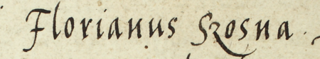 Z księgi radzieckiej Kleparza obejmującej lata 1564–1566: fragment wpisu z 1564 roku dokumentującego
wybór rady urzędującej, z rajcą-burmistrzem Florianem Sosną w składzie – zbliżenie zapisu imienia
(Archiwum Narodowe w Krakowie, sygn. KL 26, s. 1)