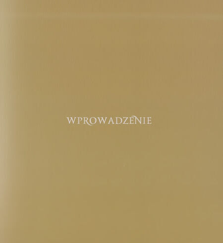 Wprowadzenie  image