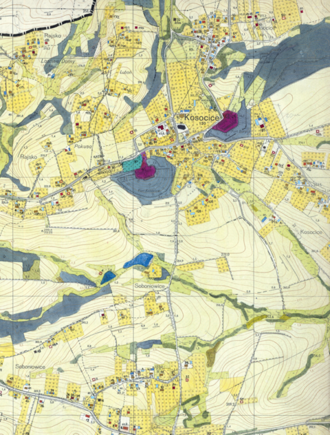 Mapa 63. Kosocice. Z dokumentacji Biura Rozwoju Krakowa dotyczący wsi Kosocice fragment sporządzonej w 1968 roku Inwentaryzacji bezpośredniej użytkowania terenu i budynków dla gromady Rajsko (Archiwum Narodowe w Krakowie, sygn. 29/1405/2330). 