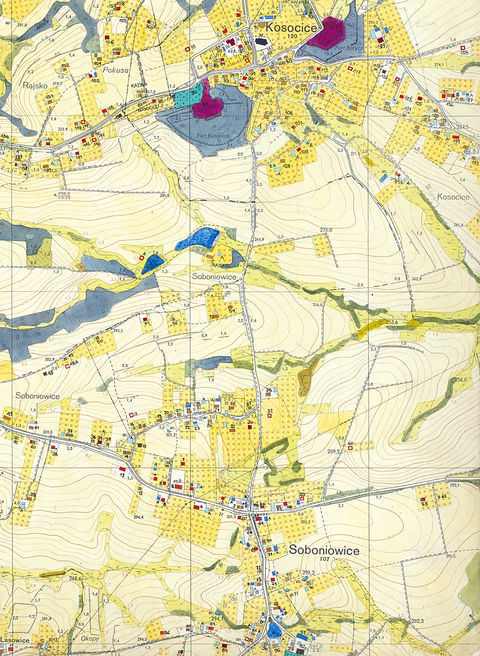 Mapa 135. Soboniowice. Z dokumentacji Biura Rozwoju Krakowa dotyczący wsi Soboniowice fragment sporządzonej w 1968 roku Inwentaryzacji bezpośredniej użytkowania terenu i budynków dla Gromady Rajsko (Archiwum Narodowe w Krakowie, sygn. 29/1405/2330).